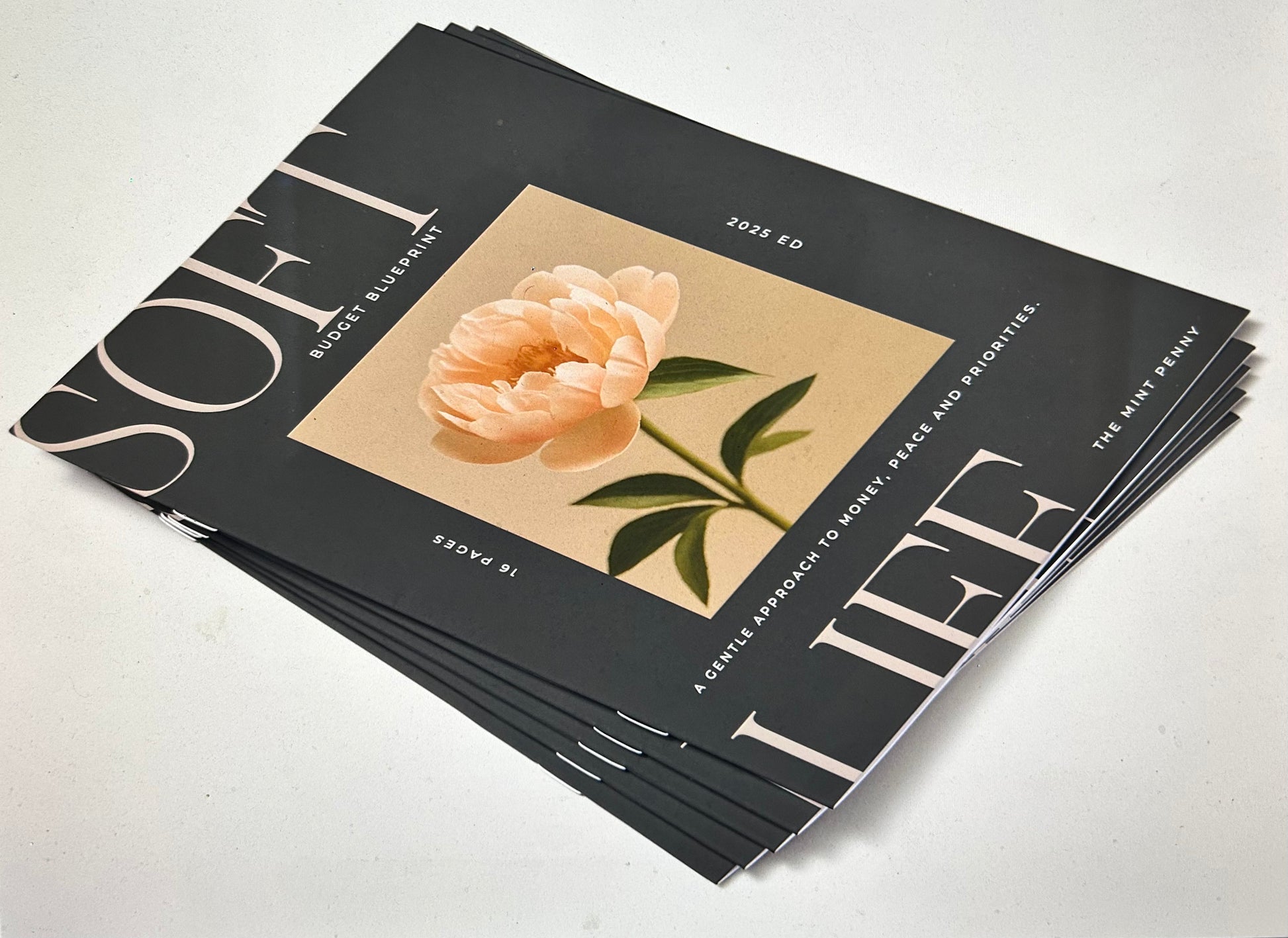 Soft Life Budget Blueprint – A Gentle Approach to Financial Clarity